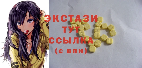 шишки Няндома