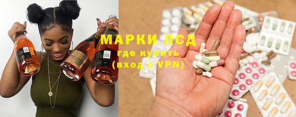 стафф Гусев