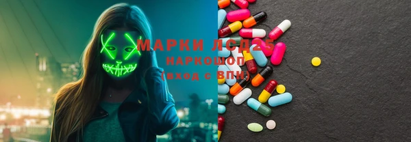 мдпв Гусь-Хрустальный