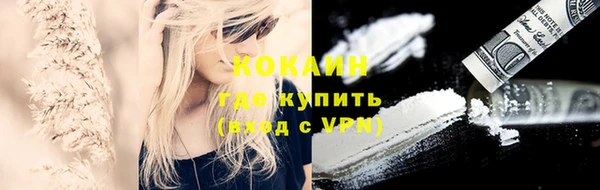 мдпв Гусь-Хрустальный