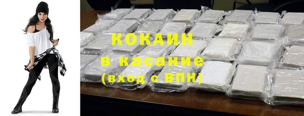 твердый Дмитров