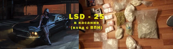 стафф Гусев