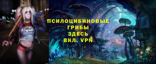 кокаин перу Дмитриев