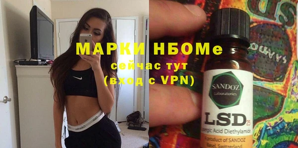 шишки Няндома
