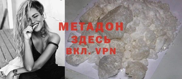 шишки Няндома