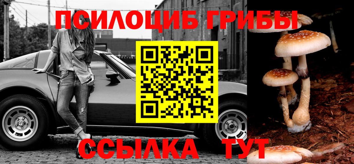 Псилоцибиновые грибы GOLDEN TEACHER Россия