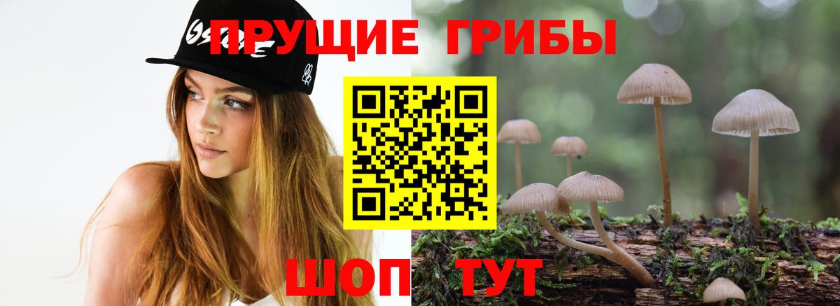 Псилоцибиновые грибы ЛСД  Вход с VPN  Россия 