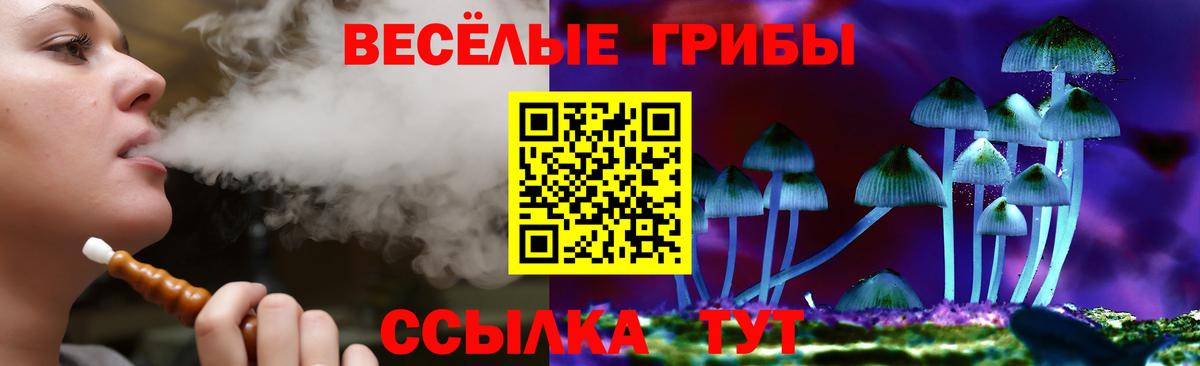 Псилоцибиновые грибы прущие грибы Россия